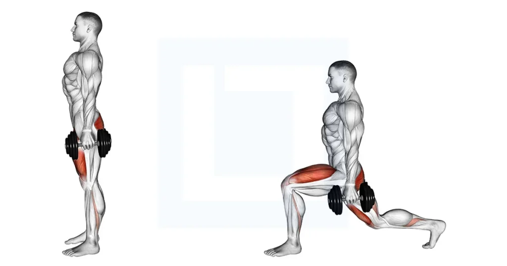 Dumbbell Rear Lunge