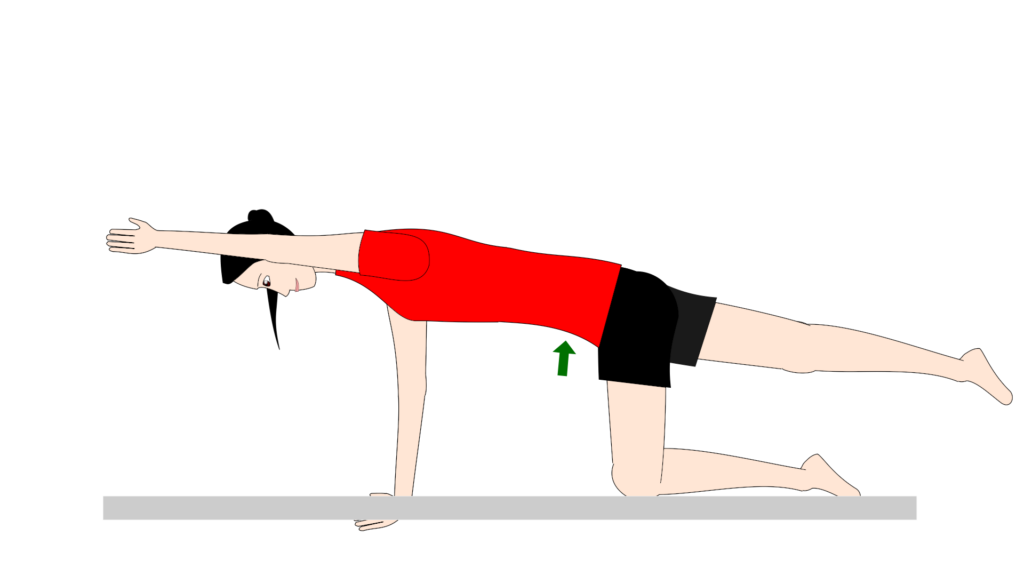 Quadriped Arm and Leg Raise