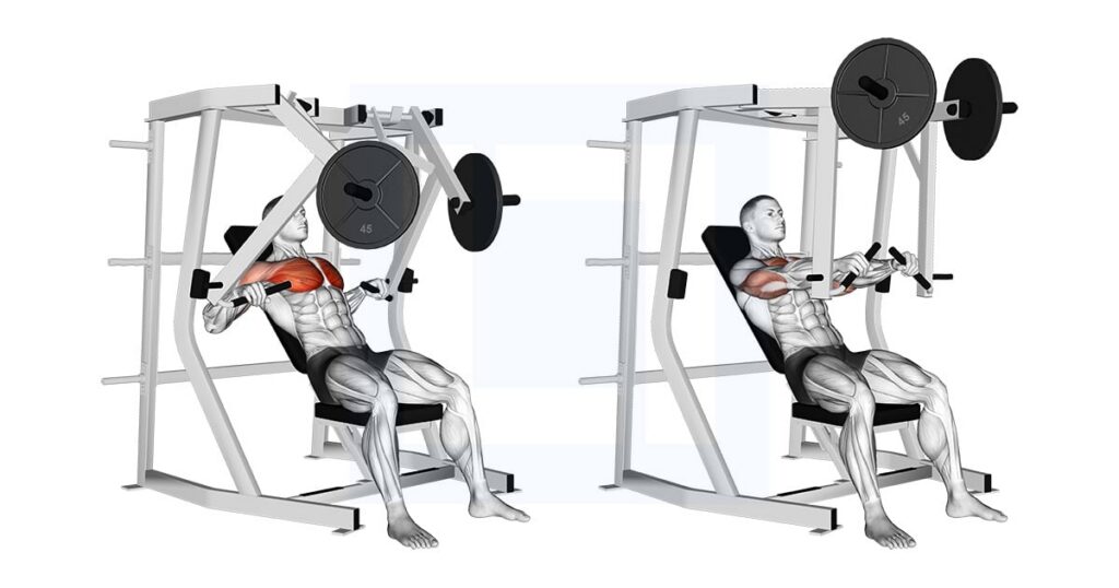 Hammerstrength Decline Chest Press
