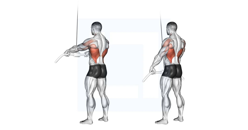 Straight-Arm Pulldown (Cable)