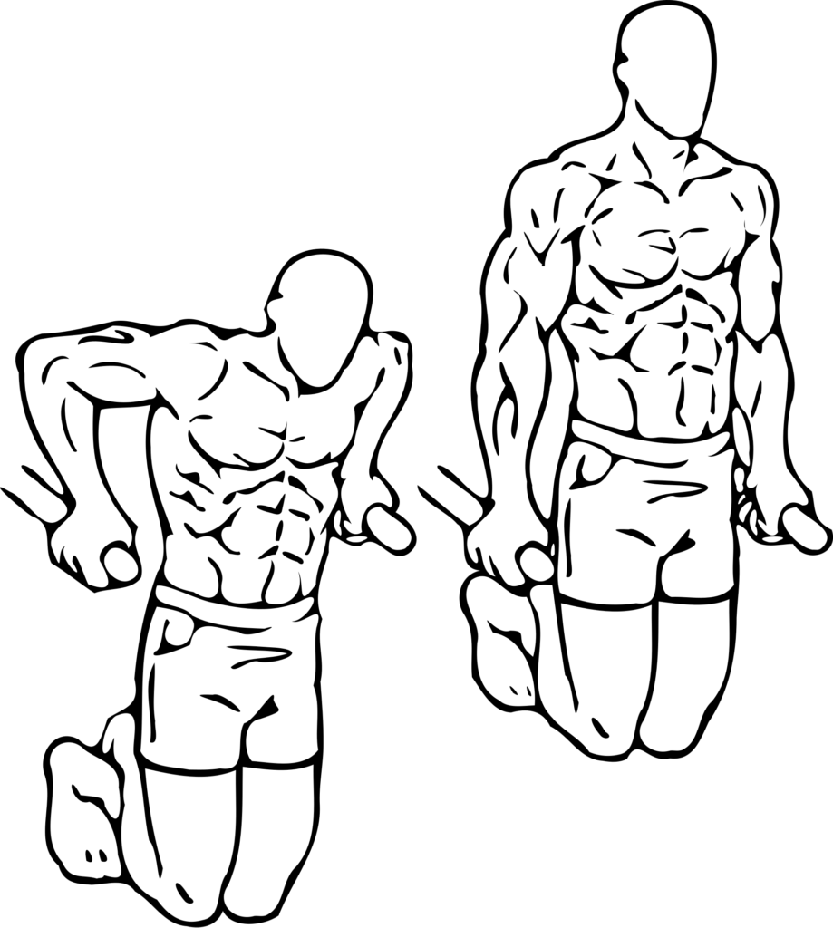 Dipy (pompki na poręczach)
