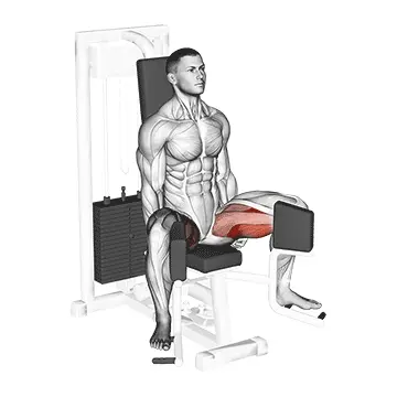 Seated Hip Adduction