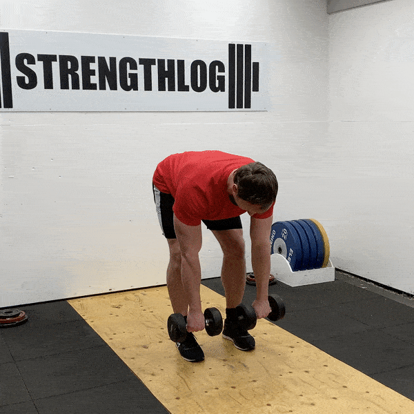Dumbbell rear delt row