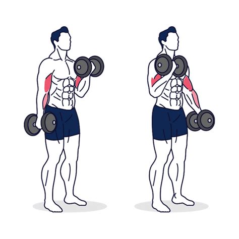 Alternating bicep curls