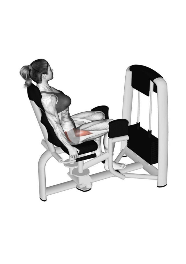 Machine Hip Abduction