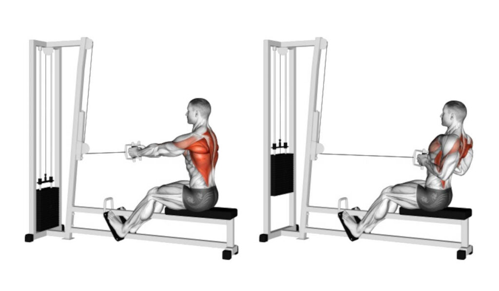 Rowing seated, narrow grip