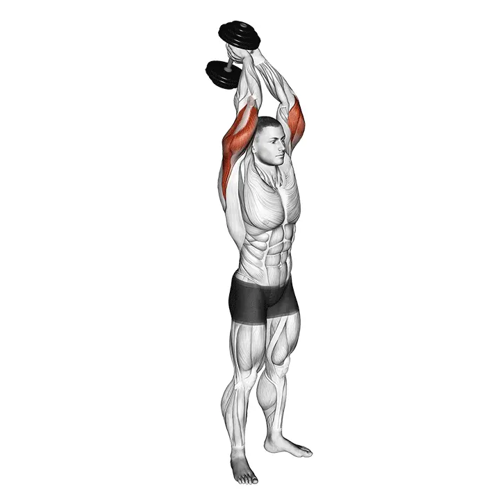 Triceps Overhead (Dumbbell)
