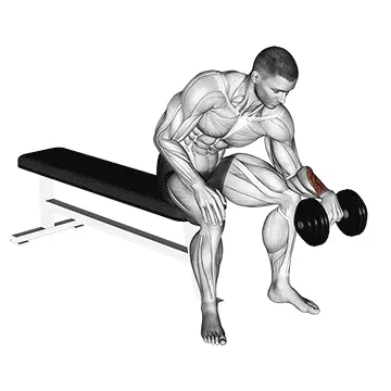 Barbell Wrist Curl