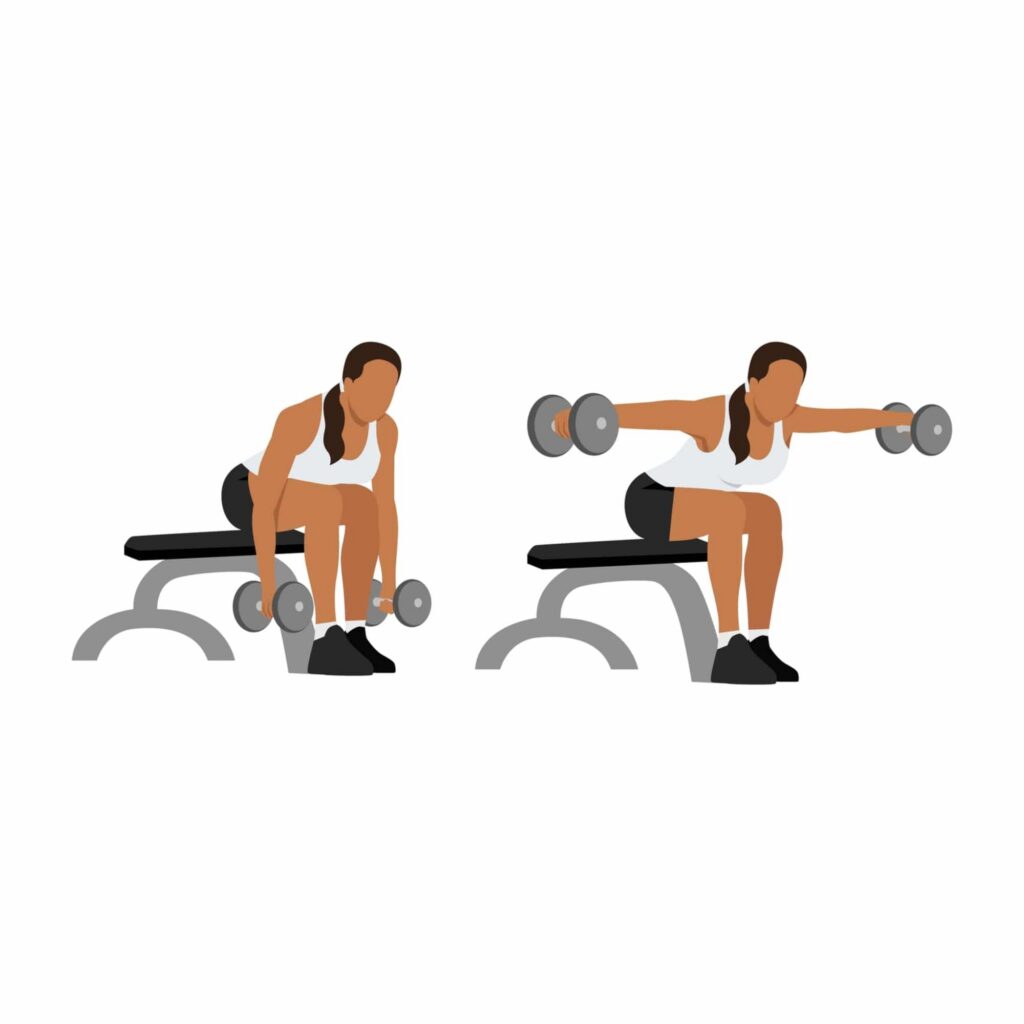 Seated rear delt rise
