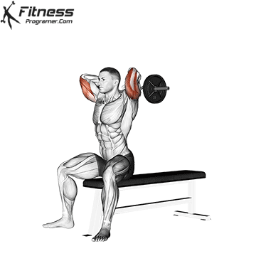 Overhead Triceps Extension